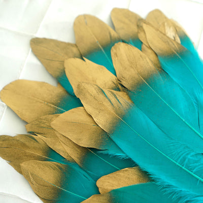 Teal and gold decorative feathers arranged in a fan shape.