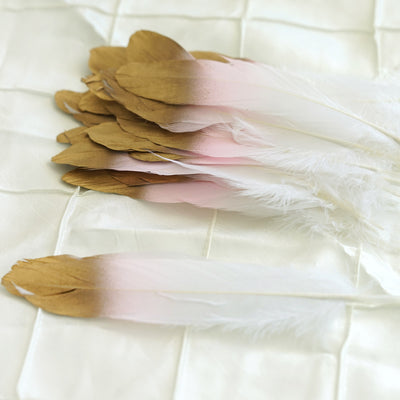 Gold and white decorative feathers arranged on a light background.
