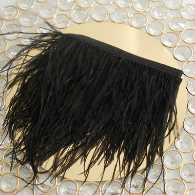 Black feather fringe trim on a decorative background.