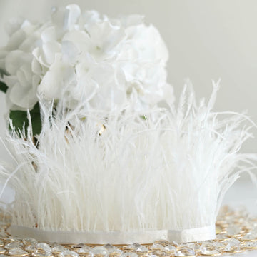Create a Luxurious Atmosphere with White Real Ostrich Feather Fringe Trim
