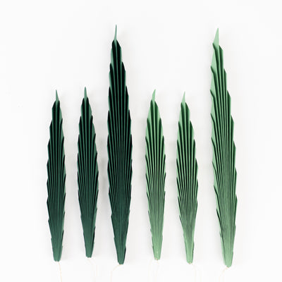 Green palm leaf decorations in various sizes on a white background