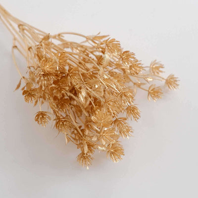 Gold dried flower bouquet on a plain background