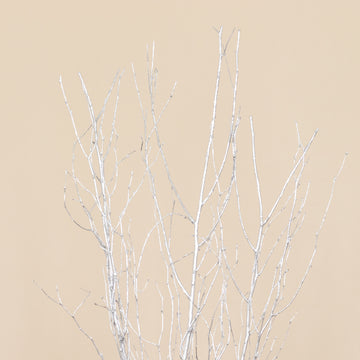 <strong>Whimsical Metallic Silver Willow Tree Branches</strong>
