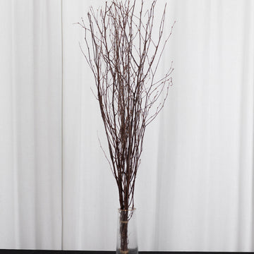 <strong>Extra Long Natural Tree Branches </strong>