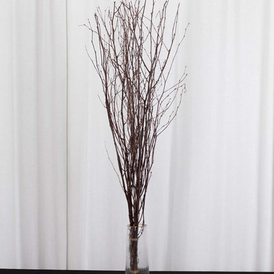 Dried branches in a glass vase on a table