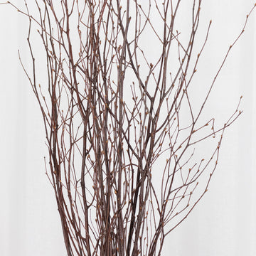 <strong>Whimsical Natural Dried Willow Twigs</strong>