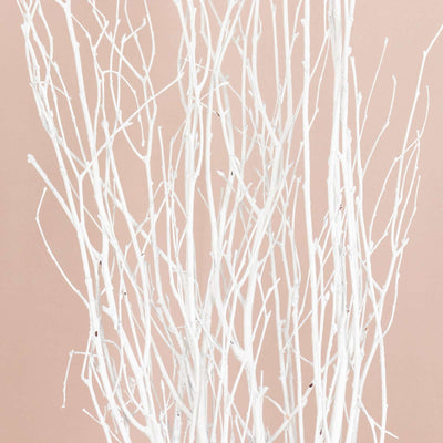 White decorative branches on a soft pink background.