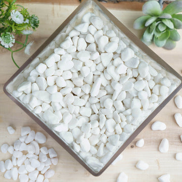 Create Unforgettable Events with White Pebble Stone Vase Fillers