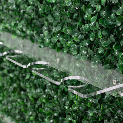 Acrylic shelf with cutout design against a green foliage backdrop.
