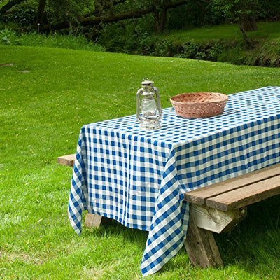 Blue and white checkered picnic tablecloth on a grassy outdoor setting.
