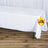 White tablecloth draped over a table with L.F.R. logo