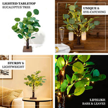 17inch Warm White Fairy Lighted Artificial Eucalyptus Plant, Battery Operated Tabletop Lighted Tree