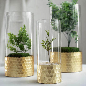 Elegant and Versatile Clear Glass Cylinder Vases with Gold Honeycomb Base