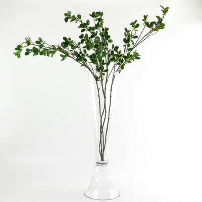 Tall glass vase with branches and green leaves