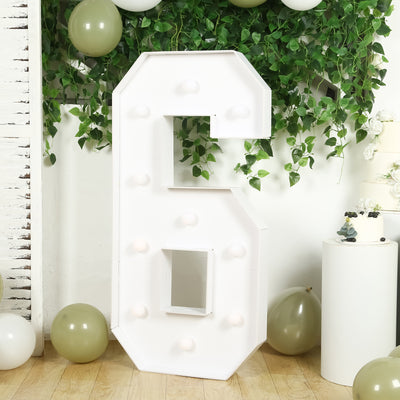 Large illuminated marquee number 6 in white with light bulbs, surrounded by greenery.