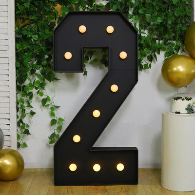 Large black number 2 with lights against a green plant backdrop.