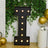 Black marquee letter "I" with lights, surrounded by greenery and gold balloons.