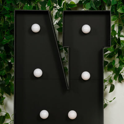 Black letter display with white bulbs surrounded by greenery.