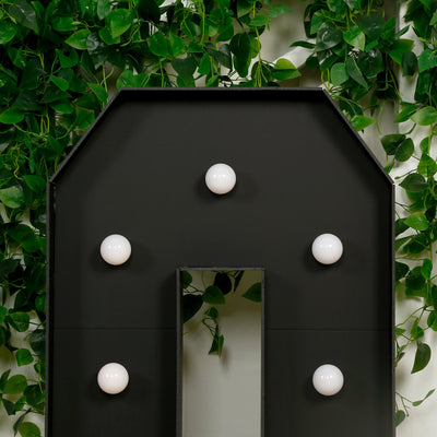Black wall-mounted display with round white lights and green foliage backdrop.