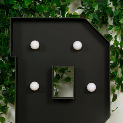 Black letter "P" with white bulbs and a mirror, set against green foliage.