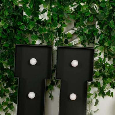 Black wall-mounted light fixtures with round bulbs surrounded by green foliage.