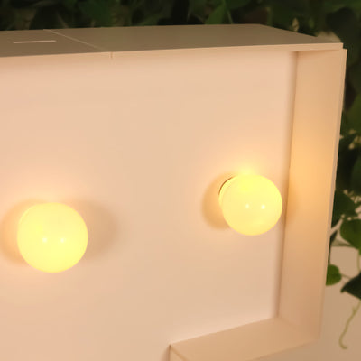 Warm LED light bulbs in a minimalist display box