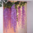 Purple wisteria flowers hanging decoratively indoors.