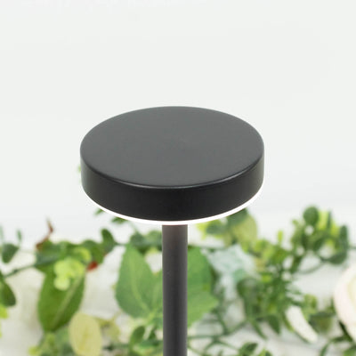 Black modern outdoor path light with round LED head and slim pole