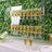 Acrylic champagne tower with glasses filled with golden liquid.