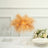 Decorative light-up feather centerpiece on a table with glasses and plates.