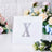 Silver glitter letter X on a clear background surrounded by flowers.
