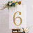 Gold glitter number 6 on a white backdrop with floral decor.