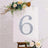 Decorative silver number 6 with floral accents on a white background.