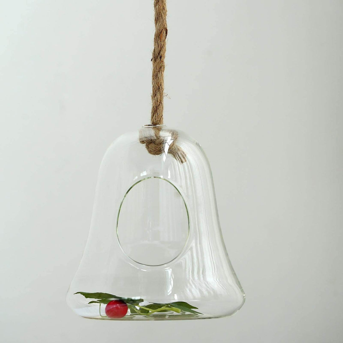 Hanging glass bell terrarium with natural elements inside