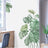 Green monstera wall decals in a modern interior setting.