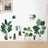 Decorative wall stickers featuring various green plants in pots and shelves.