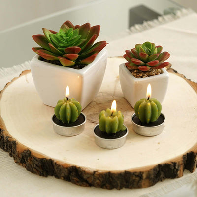 Succulent plants in white pots with cactus-shaped candles on a wooden slice tabletop.