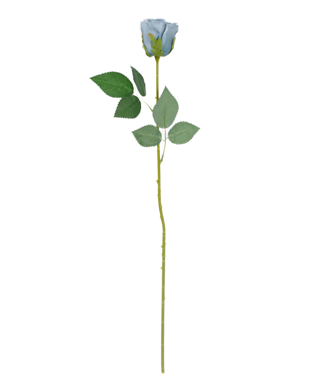 Dusty Blue Long Stem Silk Roses 24pcs | eFavormart