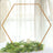 Hexagon-shaped photo backdrop frame with greenery and candles