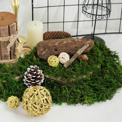 Natural Reindeer Moss Grass 50g Preserved Green - DIY Craft Supplies for Decorations