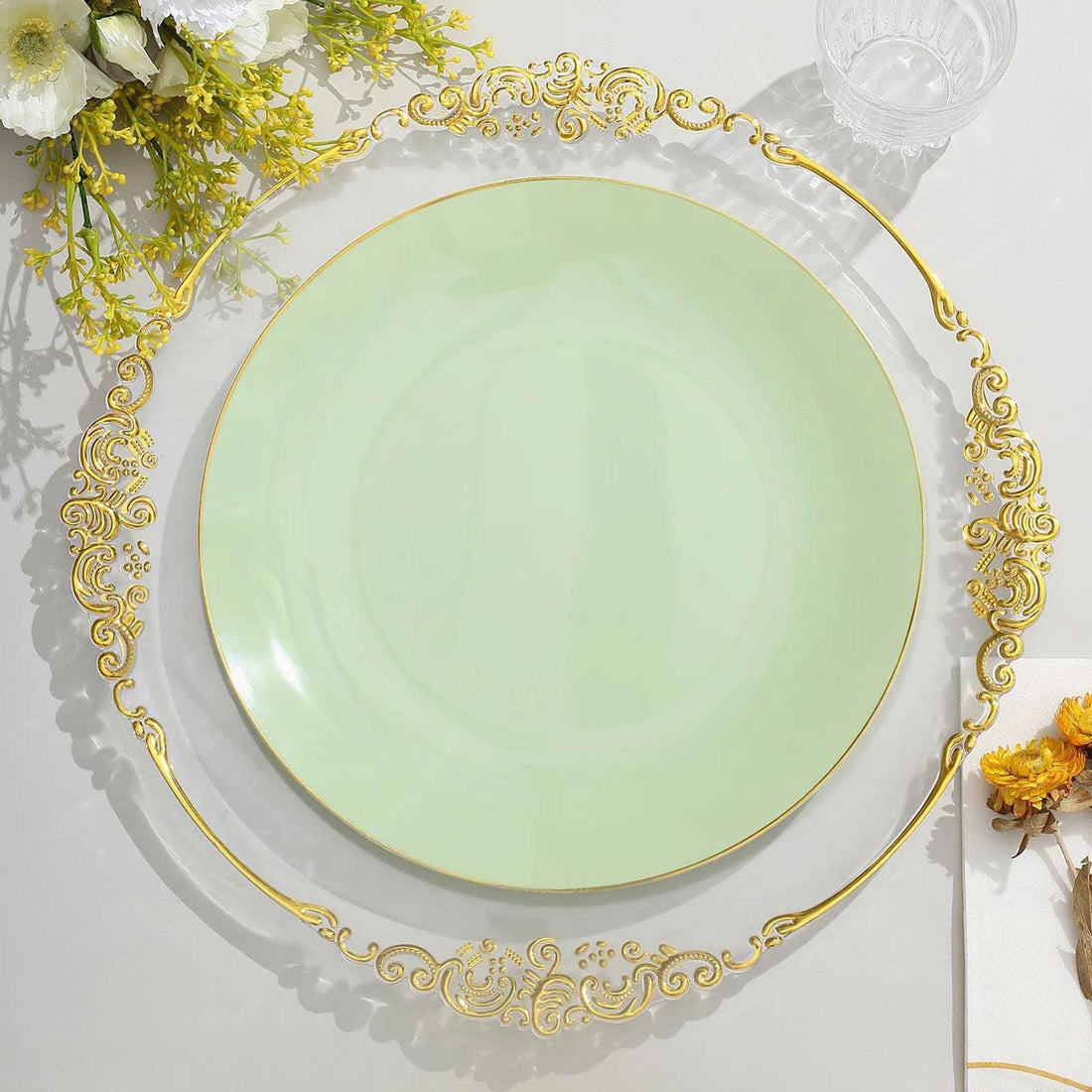 Plastic Dinner Plates 10