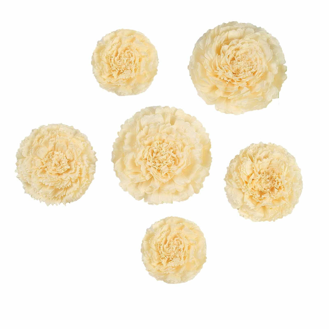 Ivory Cream Carnation 3D Paper Flowers Wall Decor | eFavormart
