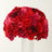 Vibrant red and pink floral arrangement in a clear vase
