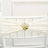Elegant chair sash with a jeweled crown embellishment
