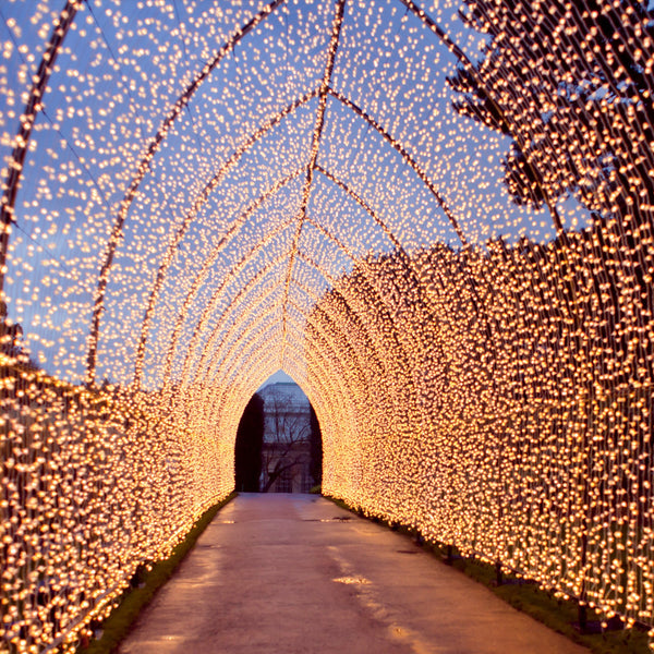Illuminated archway with twinkling lights creating a magical pathway.