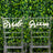 Clear acrylic wedding chairs labeled "Bride" and "Groom" against a greenery backdrop.