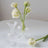 Clear glass vases with white flowers on a table