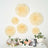 Peach floral wall decor set with various sizes and textures against a white wall.