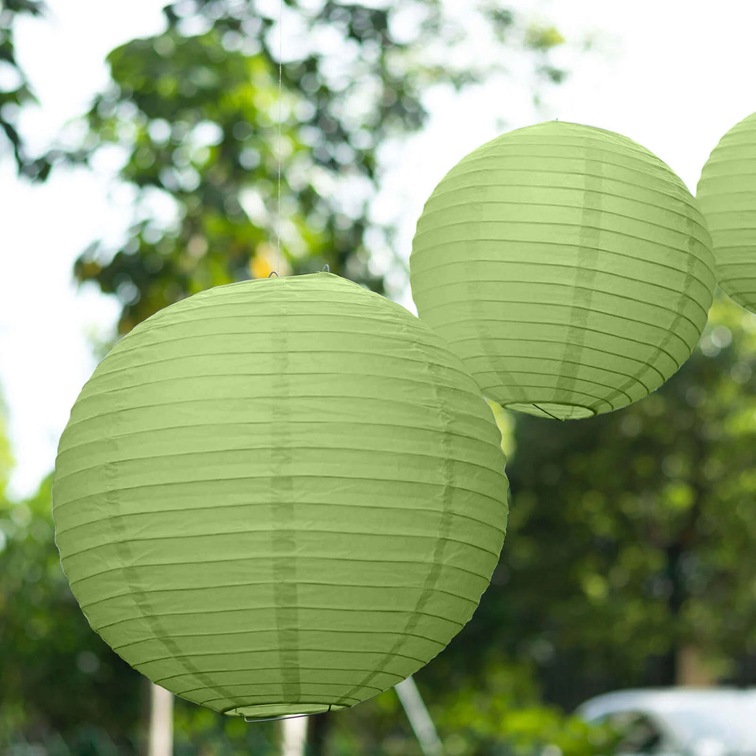Green paper lanterns hanging outdoors amidst greenery.