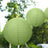 Green paper lanterns hanging outdoors amidst greenery.